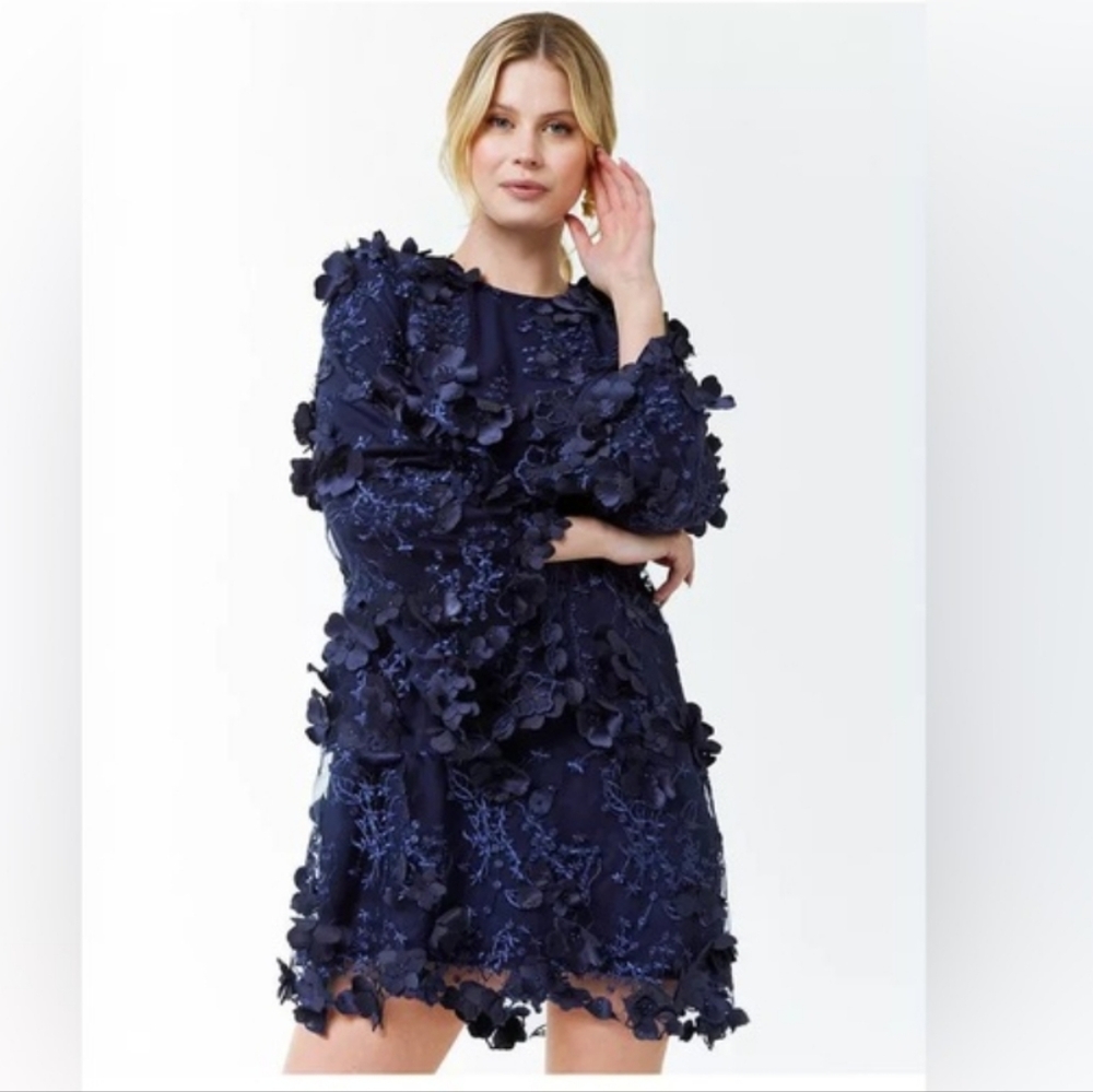 Navy Floral Appliqué Mini Dress